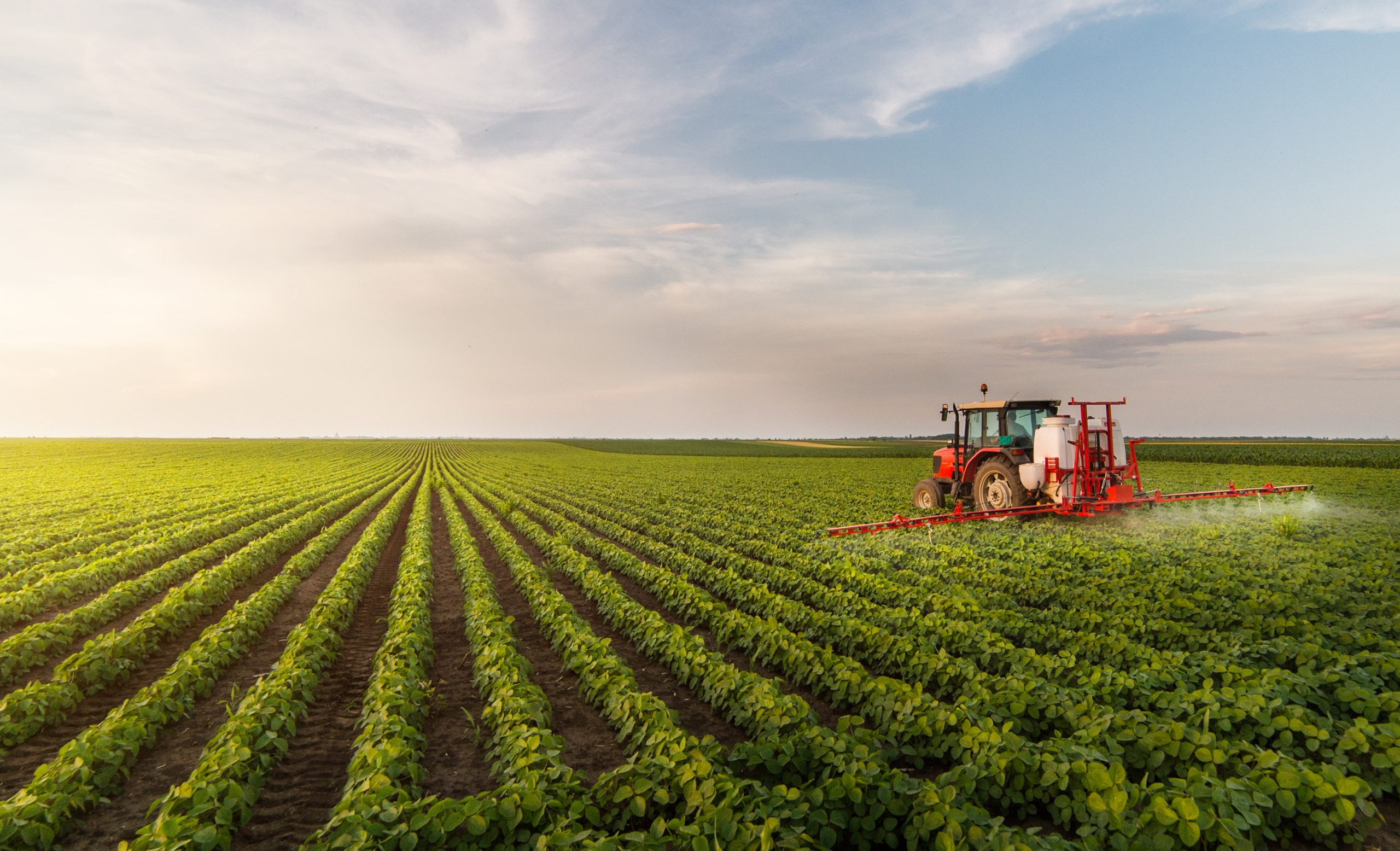 research branch agriculture canada